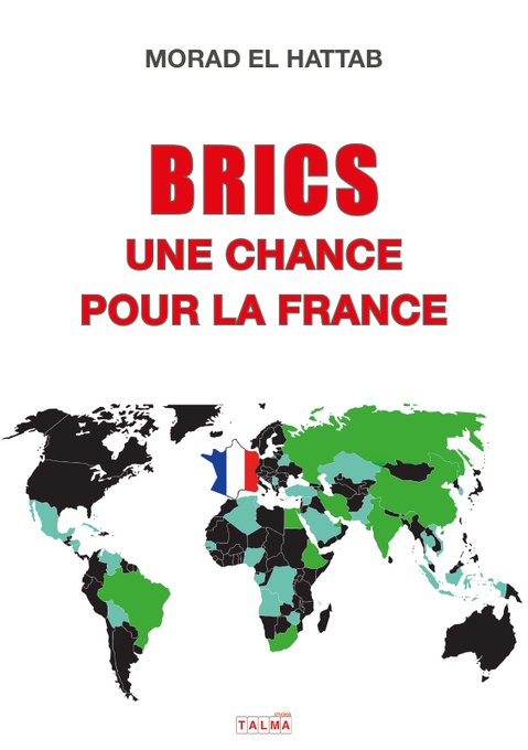 BRICS LIVRE DE MORAD EL HATTAB.jpeg (42 KB)