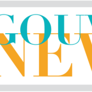 Les financements par les transferts d’argent des Diasporas