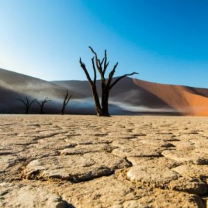 Arrêt des Déserts de l'Afrique