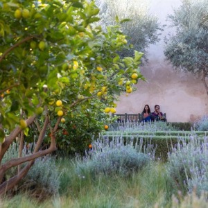 Conseils de personnes qui ont visité au Maroc