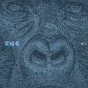 Dub Inc - Millions (Musiques du Monde/Reggae)