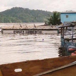 Gabon : Ndjolé et Lambaréné