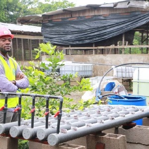 Cameroun : Avec l’aquaponie, Flavien Kouatcha veut booster l’agriculture au Cameroun