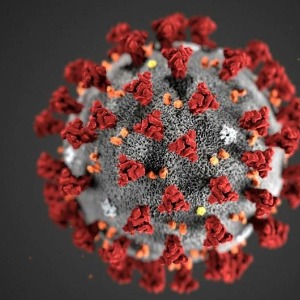 SANTE : Coronavirus  la Cedeao opte pour une synergie des forces
