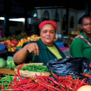 AFRIQUE : Le Mozambique peut-il réaliser son potentiel de croissance ?