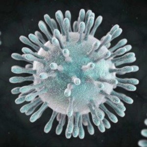 AFRIQUE : Coronavirus / Pas de nouveaux cas confirmés en Algérie