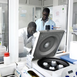 AFRIQUE : Remède contre le coronavirus : un chercheur ivoirien fait une importante découverte