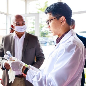 Madagascar : un remède à base d’Artemisia, un anti-paludéen, fait des miracles face au Covid-19