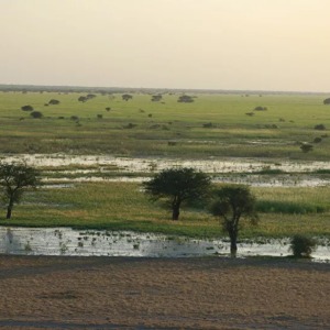 AFRIQUE : Entre mode et bande dessinée, un artiste franco-camerounais raconte l’Afrique