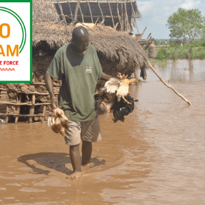 AFRIQUE : KENYA de fortes pluies ont fait près de 200 morts en un mois au Kenya