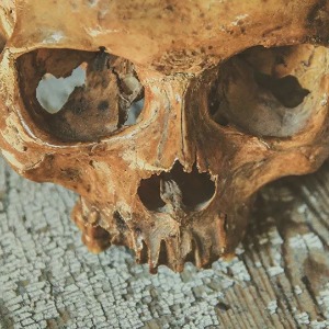 AFRIQUE :  Au Togo, un homme arrêté avec en sa possession… des crânes humains!