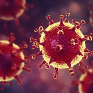 FRANCE Coronavirus : bilan de la situation actuelle en France