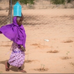 AFRIQUE Lutte contre la faim au Sahel : pour l’engagement des bailleurs de fonds