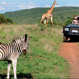 AFRIQUE 2050 Covid-19 : le tourisme mondial a perdu 320 milliards de dollars