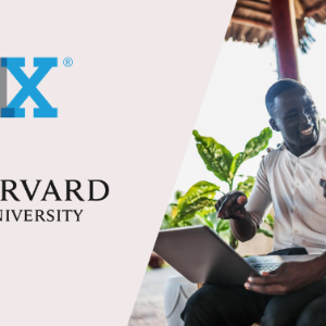 AFRIQUE2050 : Un cours en ligne à Harvard a été créé pour les entrepreneurs africains en herbe