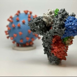 Covid-19: E484K, la mutation qui pose question pour les vaccins