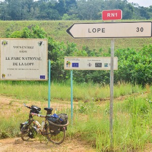 AFRIQUE2050 : Voici pourquoi les éléphants du Gabon ont faim