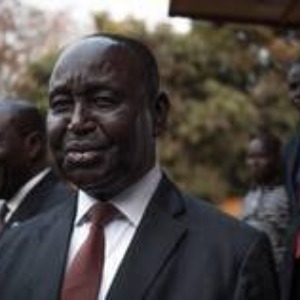 AFRIQUE2050 Centrafrique :  François Bozizé  l’ex-président singe a pris la tête de la rébellion pour massacré son peuple