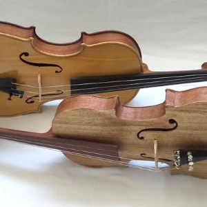 MUSIQUE :  Un violon africain ? Une nouvelle étude détermine quels bois locaux pourraient servir à sa fabrication