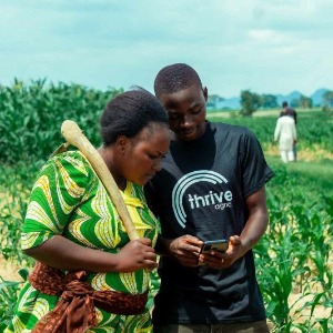 AFRIQUE2050 : Construire le plus grand réseau d'agriculteurs africains rentables utilisant la technologie