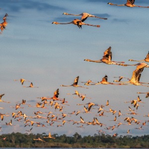 ACTUALITE/ECOLOGIE « Il faut inverser la tendance avant 2025 » Selon le rapport du Giec sur le réchauffement climatique