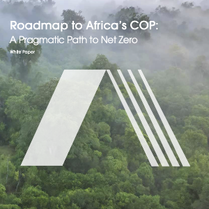 AFRIQUE2050 : Trois étapes essentielles pour les ambitions Net Zero de l'Afrique