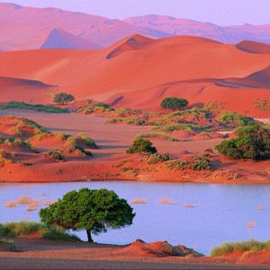 La Namibie offre un terrain de jeu d'excitation sans précédent pour les accros à l'adrénaline