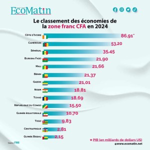Classement des économies de la zone CFA en 2024 : le Gabon occupe la 3ème place sur la zone CEMAC