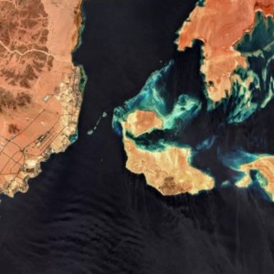 L'Égypte organise la 19e édition de la Foire du livre à la bibliothèque moderne d'Alexandrie.