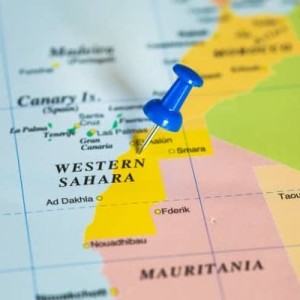 L'Algérie rappelle son ambassadeur en France en raison du conflit du Sahara occidental