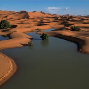 Des précipitations inhabituelles ravivent le désert marocain et dynamisent le secteur touristique.