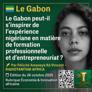 Le Gabon peut-il s’inspirer de l’expérience nigériane en matière de formation professionnelle et d’entrepreneuriat ?