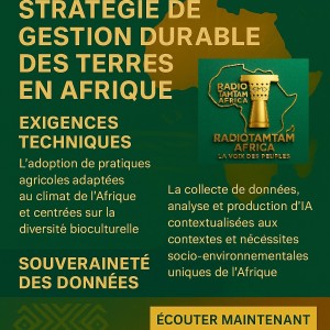 Comment bâtir une stratégie de gestion durable des terres en Afrique à l’ère de l’intelligence artificielle