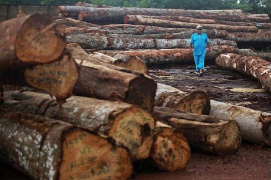 Enregistrement de la faune unique du Gabon