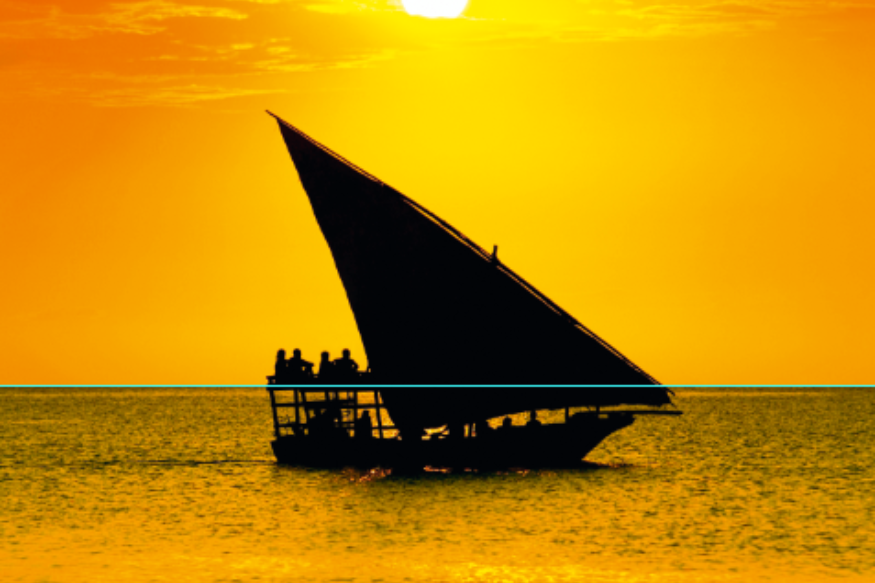 AFRIQUE : IDE au Mozambique le bon endroit au bon moment