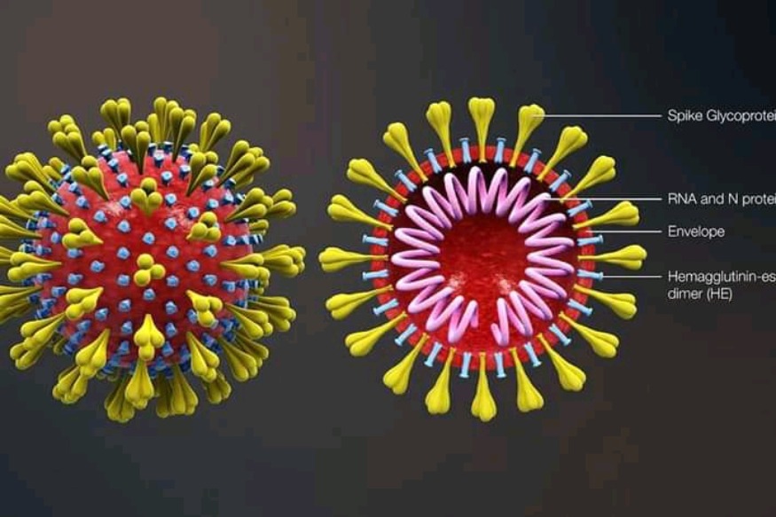 USA : premier essai clinique en cours pour un vaccin contre le coronavirus
