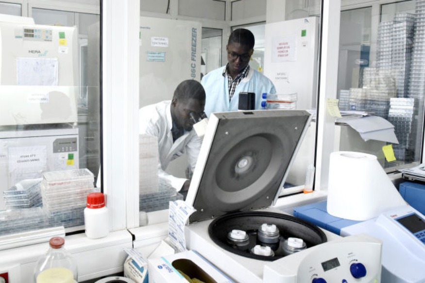 AFRIQUE : Remède contre le coronavirus : un chercheur ivoirien fait une importante découverte