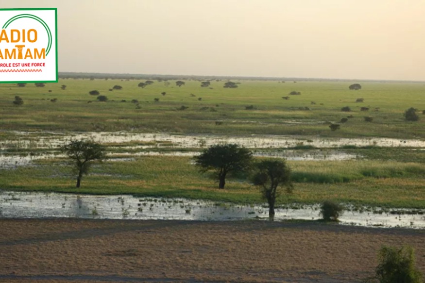 AFRIQUE : Entre mode et bande dessinée, un artiste franco-camerounais raconte l’Afrique