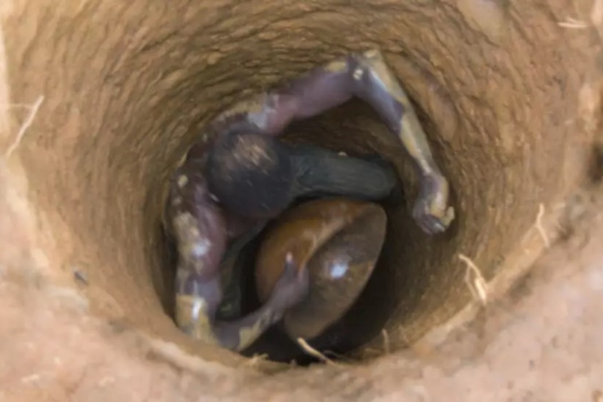 AFRIQUE 2050 :  Afrique économie  Le boom de l'or en Afrique de l'Ouest