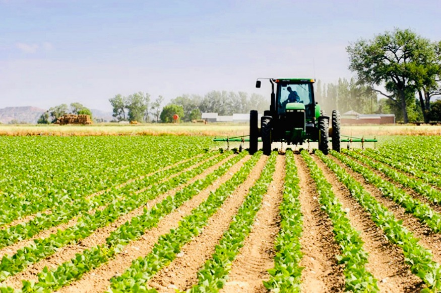 AFRIQUE 2050 : Agriculture  Entrée de l’Ethiopie au Centre international des biosciences