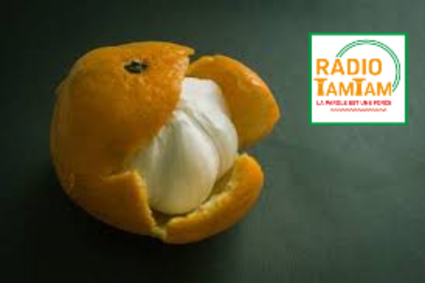 AFRIQUE 2050 : GABON  Les faux opposants gabonais reprochent aux autres leurs propres égarements