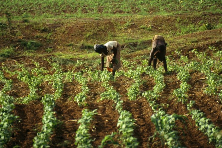 AFRIQUE2050 : NEOFARMING AFRICA