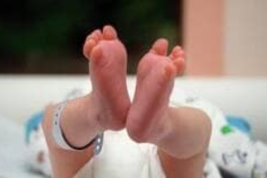 Actu Europe : Démographie  Le krach du baby boom