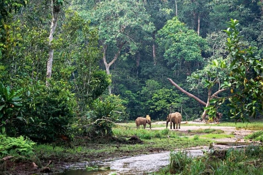 AFRIQUE 2050 ENVIRONNEMENT : LA COP26 A GLASGOW  EST UNE L'IMPOSTURE ECOLOGIQUE
