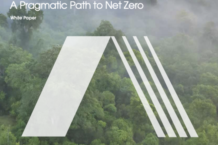 AFRIQUE2050 : Trois étapes essentielles pour les ambitions Net Zero de l'Afrique