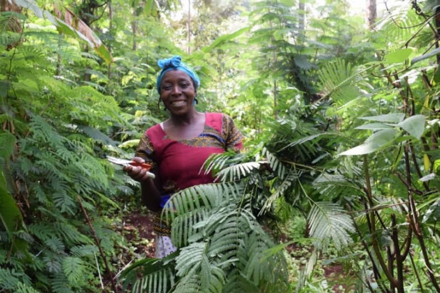 AFRIQUE : Les femmes ne devraient pas être laissées pour compte dans l'AfCFTA