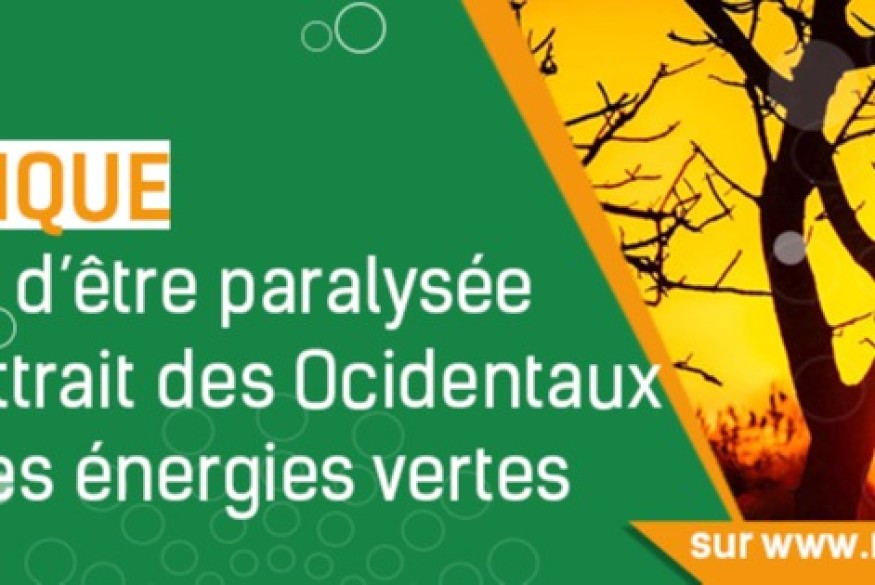 AFRIQUE :LES ENERGIES RENOUVELABLES UNE GRANDE ARNAQUE POUR LE CONTINENT AFRICAIN