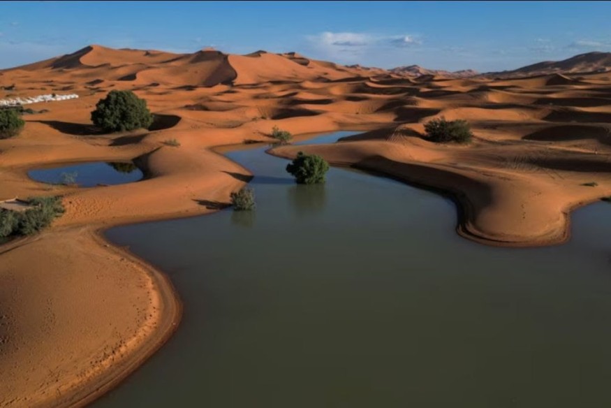 Des précipitations inhabituelles ravivent le désert marocain et dynamisent le secteur touristique.