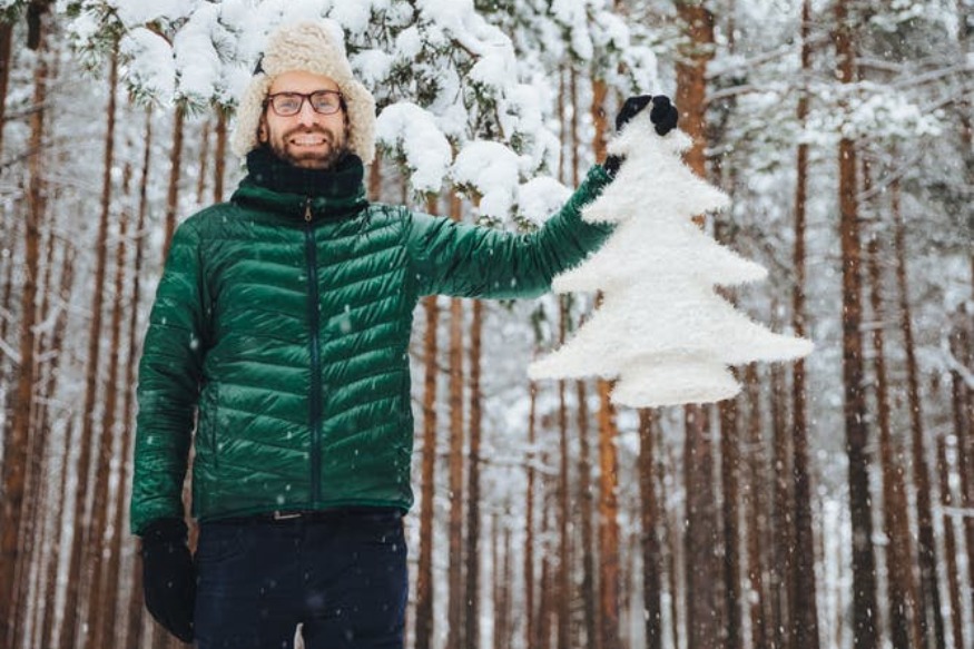 Podcast : Mon beau sapin, roi des forêts (et du commerce international !)